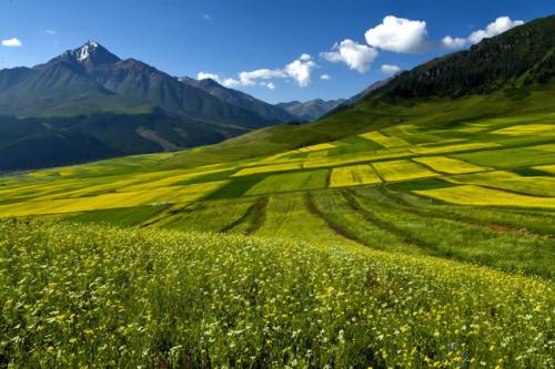聯(lián)合沖剪機(jī)的發(fā)展前景